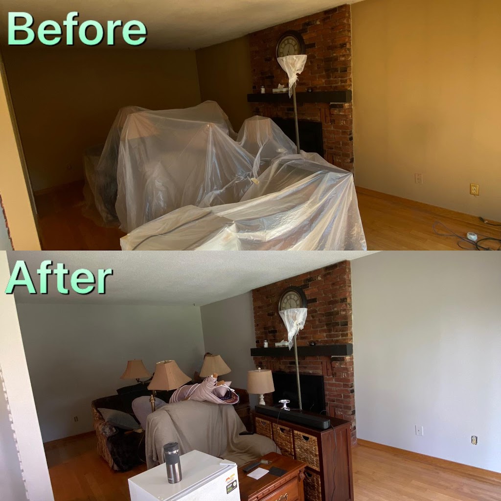 NASSER PAINTING INC | 3403 Brett Rd, Mississauga, ON L5L 4N7, Canada | Phone: (226) 503-6119
