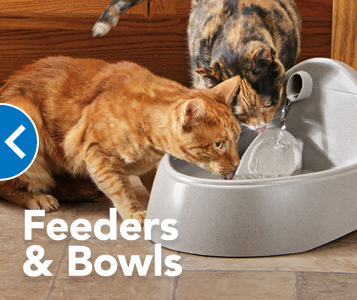 PetSmart | 3020 Meadows Pkwy Unit 120, Saskatoon, SK S7V 0R6, Canada | Phone: (306) 242-3520