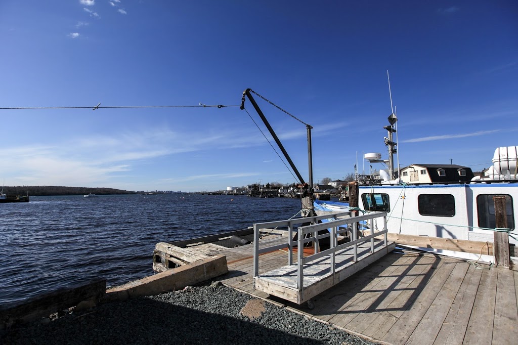 A&M Sea Charters | 87 Government Wharf Rd, Eastern Passage, NS B3G, Canada | Phone: (902) 465-6617