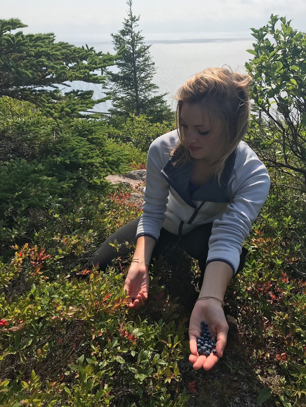 Cabot Discovery Tours | 1524 Shore Rd, Judique, NS B0E 1P0, Canada | Phone: (902) 623-2780