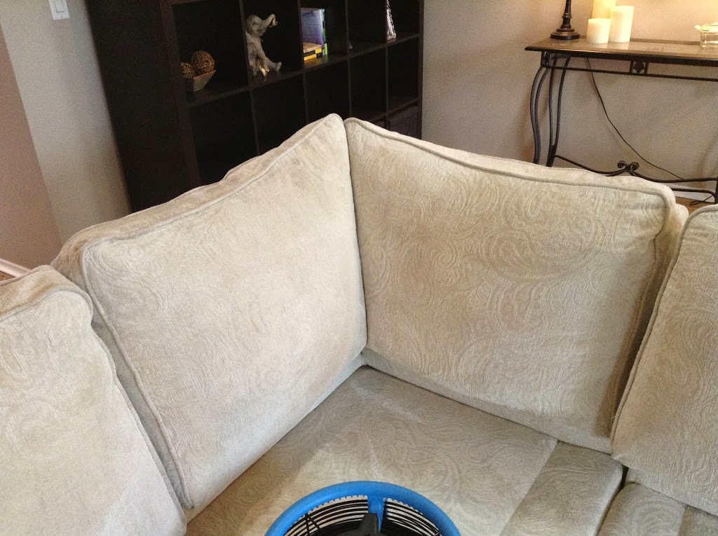 Only Way Cleaning Services (Carpet - Tile - Upholstery) | 19651 Wildwood Crescent S, Pitt Meadows, BC V3Y 1N6, Canada | Phone: (778) 829-4557