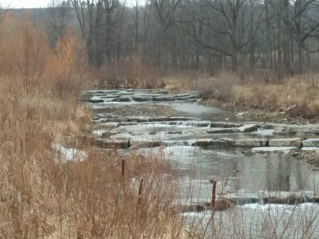 Red Hill Trail - south parking lot | 169 Mud St, Hamilton, ON L8K, Canada