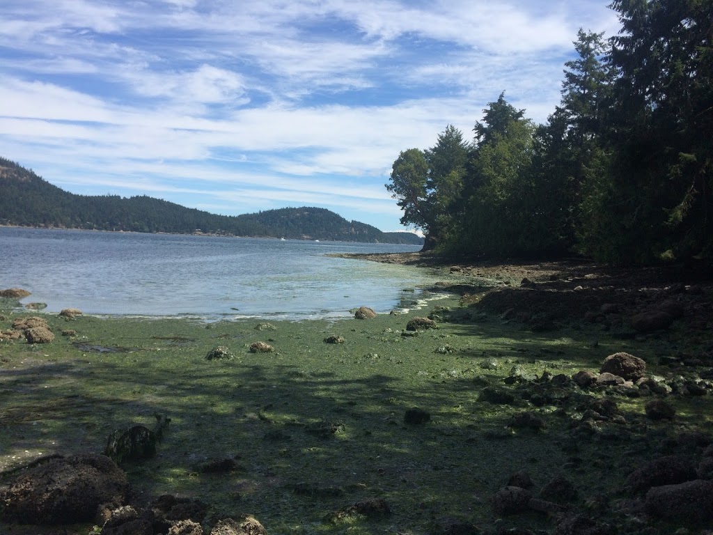 Found Road Trail | Canal Rd, Pender Island, BC V0N 2M3, Canada