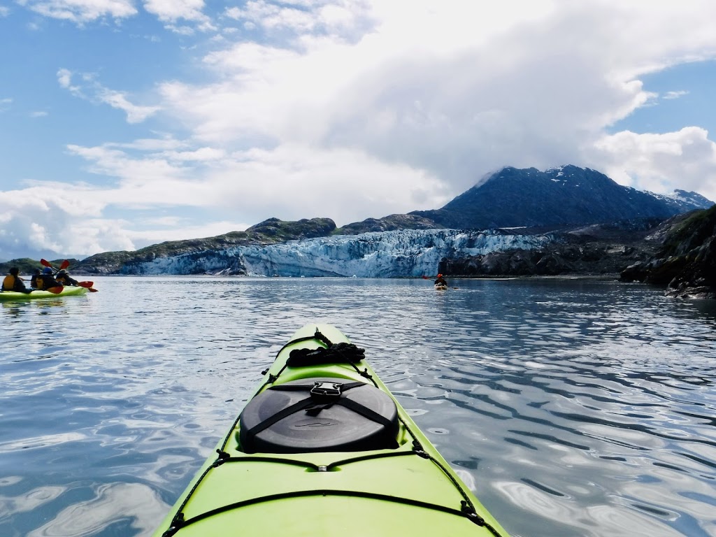 Serendipity Solutions Inc., Cruise & Luxury Travel Advisor | by Appointment Only, 246 Stewart Green SW #1702, Calgary, AB T3H 3C8, Canada | Phone: (403) 242-8583