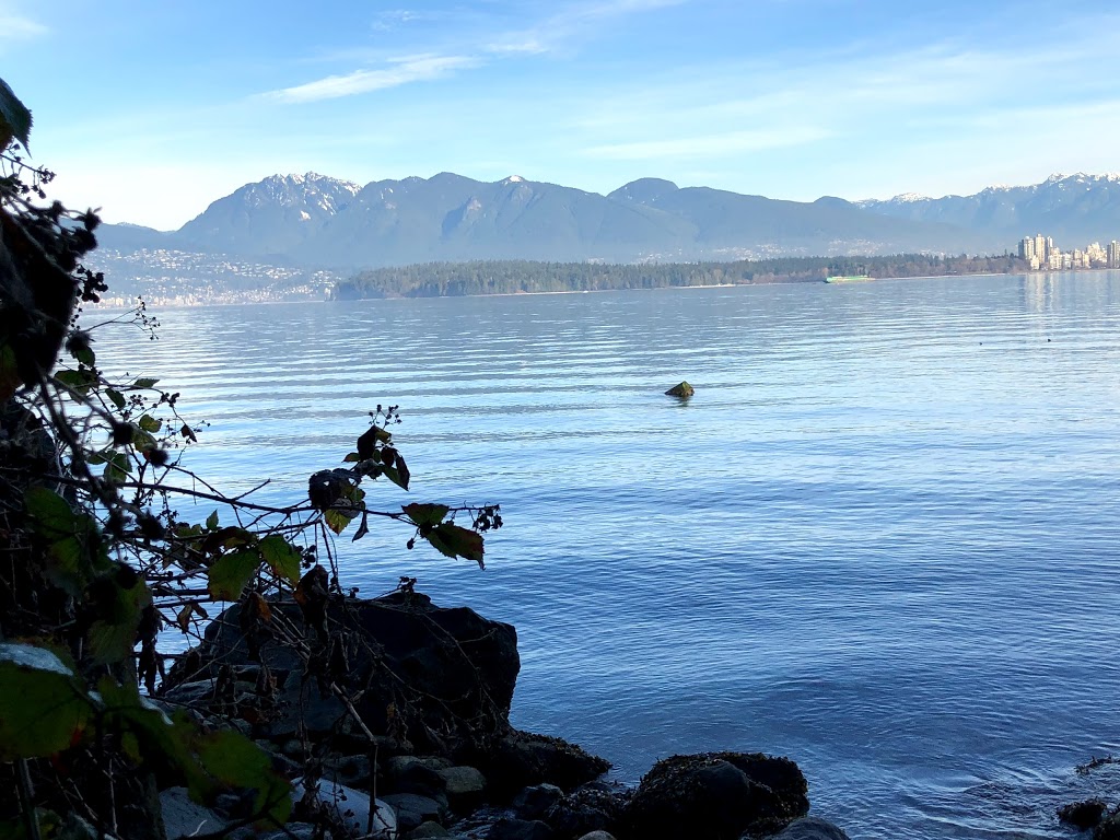 Jean Beaty Park | 3393 Point Grey Rd, Vancouver, BC V6R 1A4, Canada | Phone: (604) 873-7000
