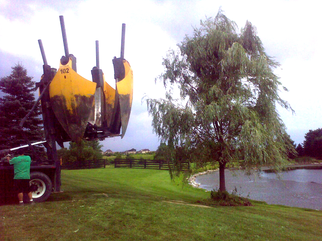 Hall Tree Spading a Division of Beech Nursery Group | 16725 Jane Street, King, ON L7B 0G8, Canada | Phone: (800) 463-1996