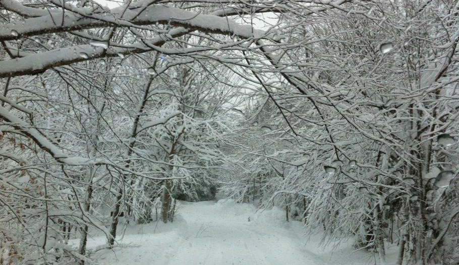 The Chalet 1458 | Chemin Kelly, Saint-Sauveur, QC J0R 1R1, Canada | Phone: (514) 992-1484