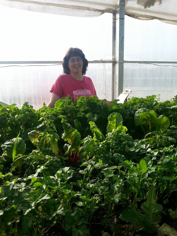Diddley-Squash Farm | 291 Scott Rd, Salisbury, NB E4J 3K4, Canada | Phone: (506) 372-1085