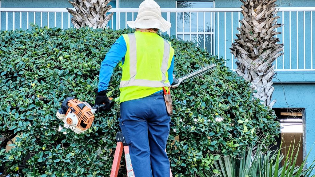 Elite Garden Maintenance & Landscaping | 6270 Owls Nest Place, Sooke, BC V9Z 1A9, Canada | Phone: (778) 678-2524