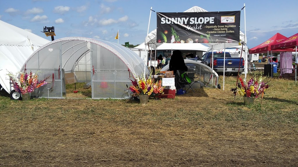 Sunny Slope Market | point of interest | 450 Frankford Rd, Foxboro, ON K0K 2B0, Canada | 6139625013 OR +1 613-962-5013