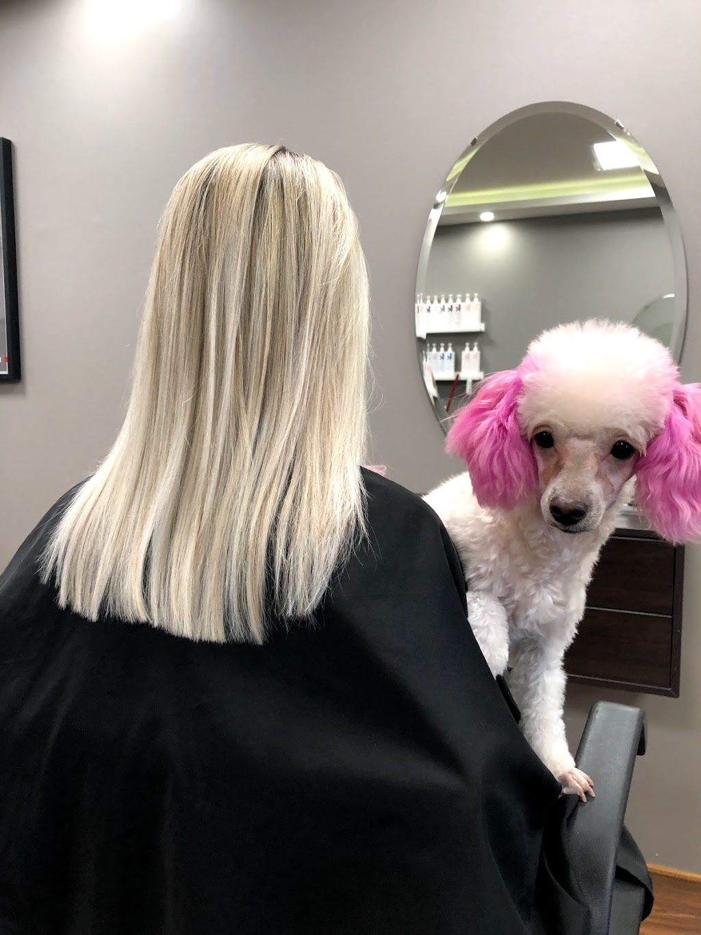 Twin Scissors Hair Design | 4976 Dundas St W, Etobicoke, ON M9A 1B7, Canada | Phone: (416) 653-6662