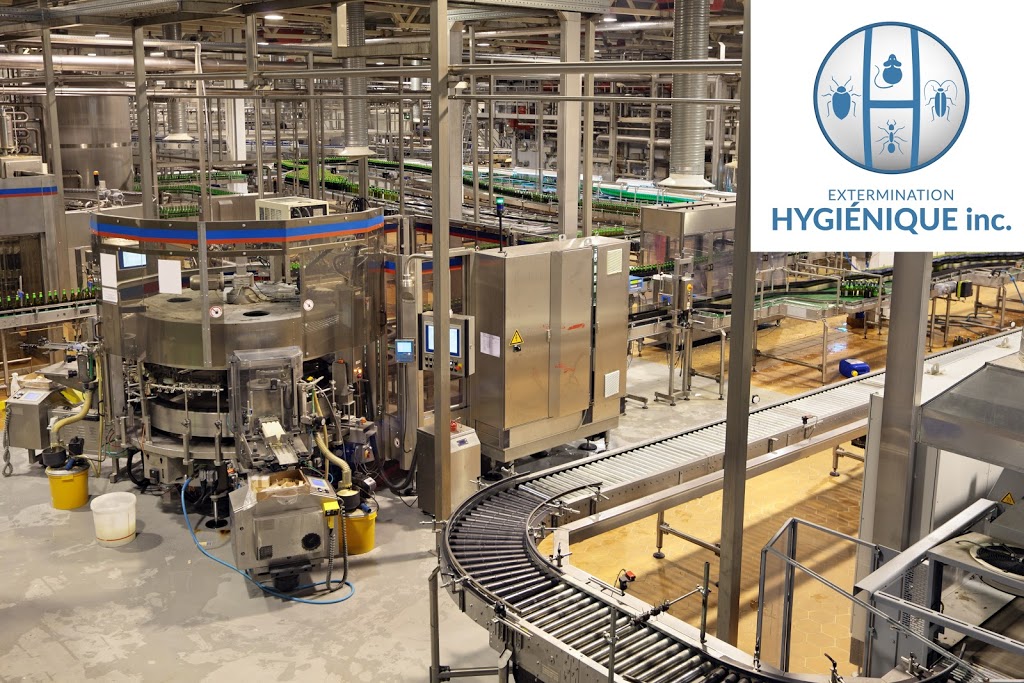 Extermination Hygiénique inc | 3472 Rue Jean Talon, Mascouche, QC J7K 1L9, Canada | Phone: (514) 267-0260