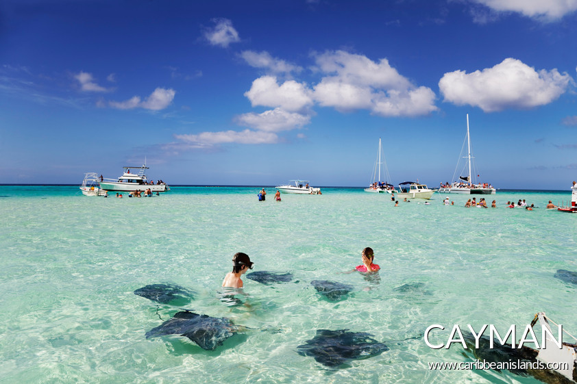 Marlin Travel Whitby | 3455 Garrard Rd, Whitby, ON L1R 2N2, Canada | Phone: (289) 278-3428
