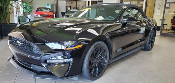 Desmeules Automobiles | 182 QC-138, Les Escoumins, QC G0T 1K0, Canada | Phone: (418) 233-2490