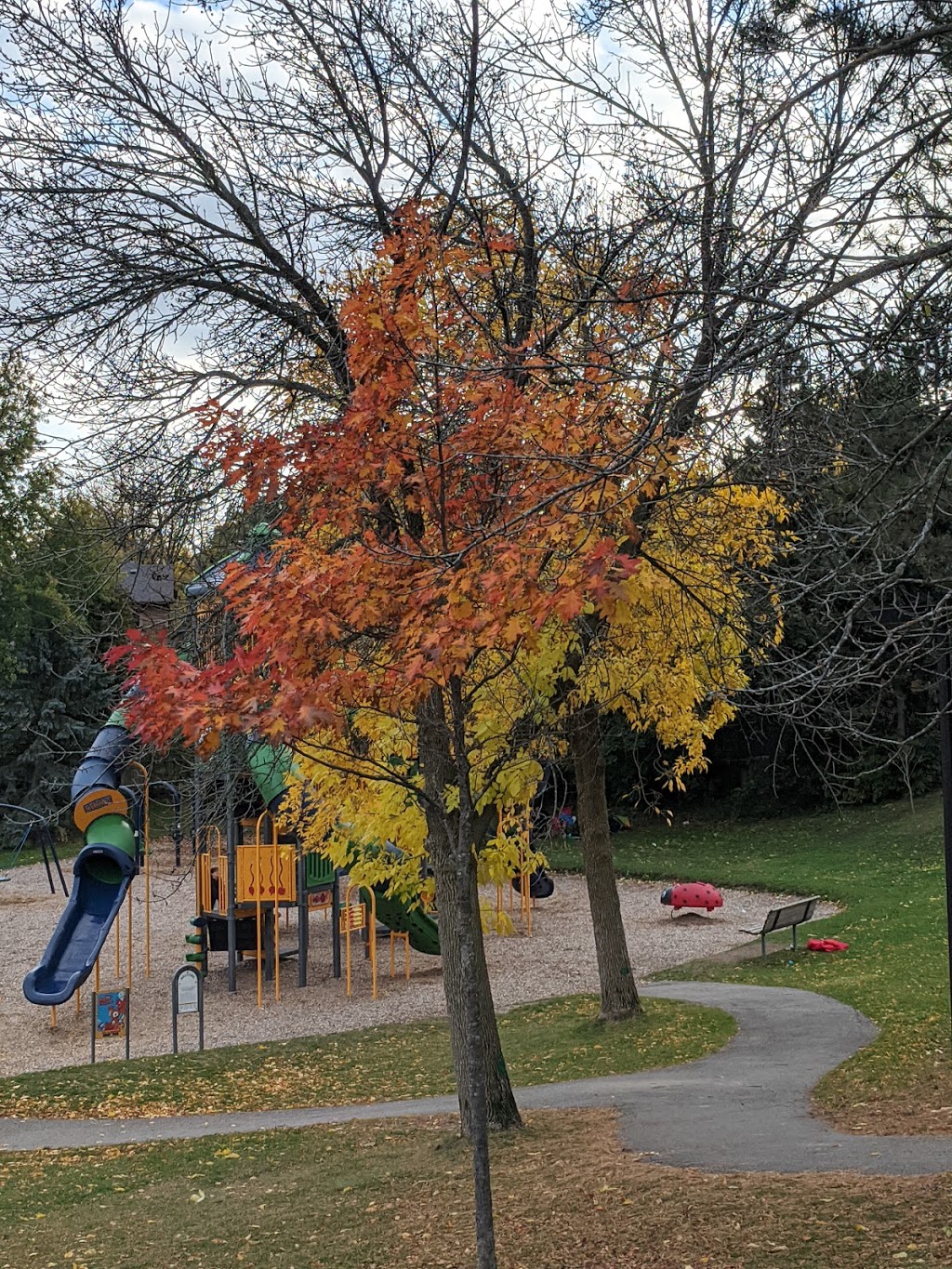 Copland Park Playground | Copland Park, Aurora, ON L4G 5E9, Canada | Phone: (905) 727-3123