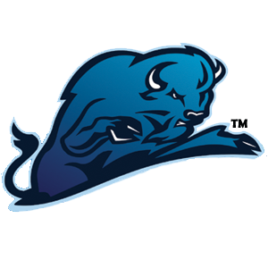 Blue Bison Water | 6085 Main St, Saint Andrews, MB R1A 4A5, Canada | Phone: (204) 482-9176