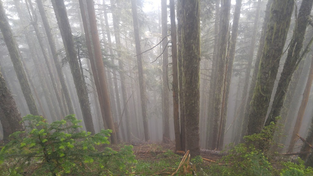 Liumchen Ecological Reserve | Rosedale, BC V0X 1X0, Canada | Phone: (800) 689-9025