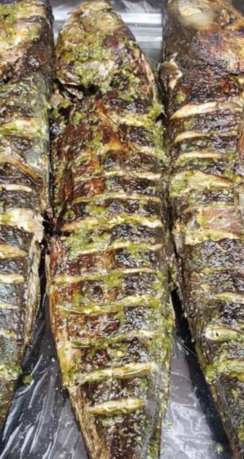 African fish | 1522 Rue Jean-Lachaîne, Sainte-Catherine, QC J5C 1C2, Canada | Phone: (581) 745-2579