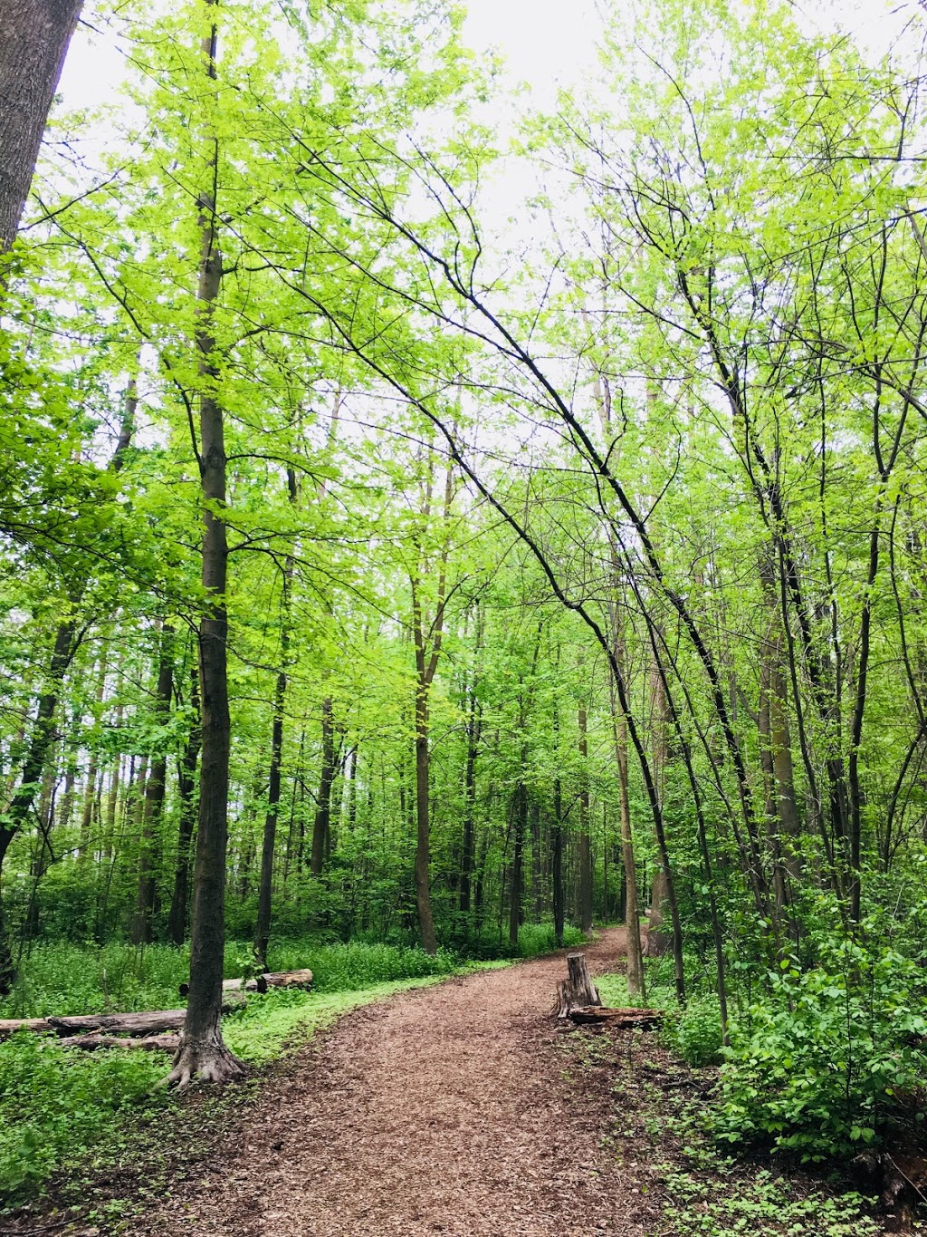Marksam Park | 146 Marksam Rd, Guelph, ON N1H 6T6, Canada | Phone: (519) 837-5628