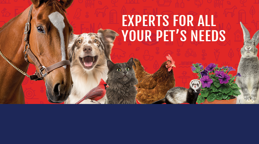 Feedsn Needs (Shur-Gain) | 50 Juniper St, Truro, NS B2N 5Z8, Canada | Phone: (902) 893-3186