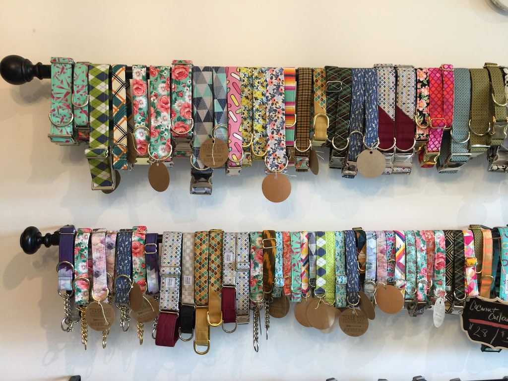 Doodle Dogs Inc | 3b Parkdale Crescent NW, Calgary, AB T2N 3T8, Canada | Phone: (587) 349-3647