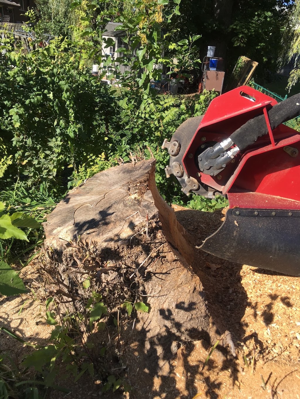 Complete Stump & Tree Removal Inc. | 457 Regency Crescent, Waterloo, ON N2T 1P2, Canada | Phone: (519) 590-8178