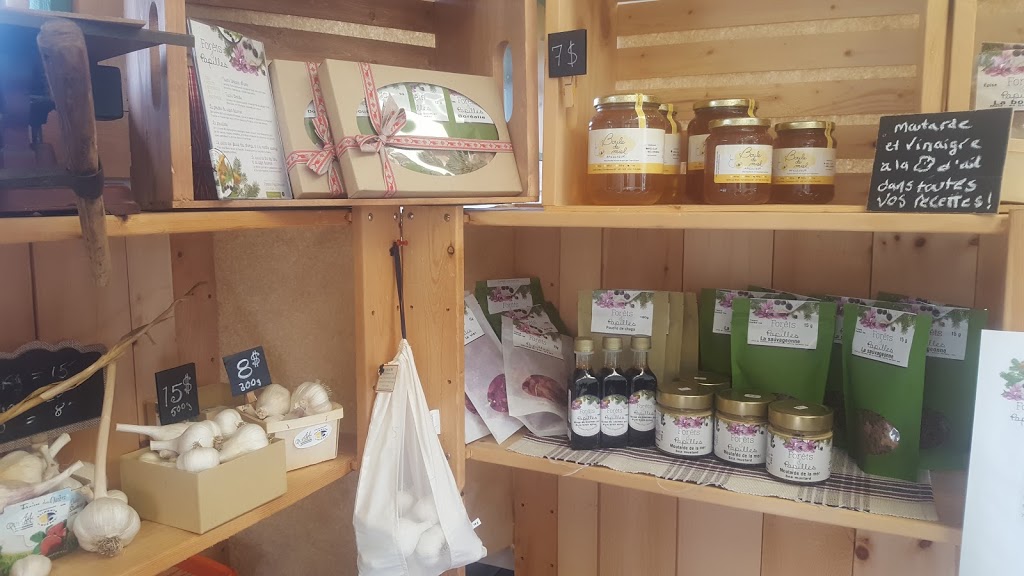 Production dail La Garlic | 1092 Rue Saint Camille, Saint-Jérôme, QC J5L 2K7, Canada | Phone: (450) 569-2112