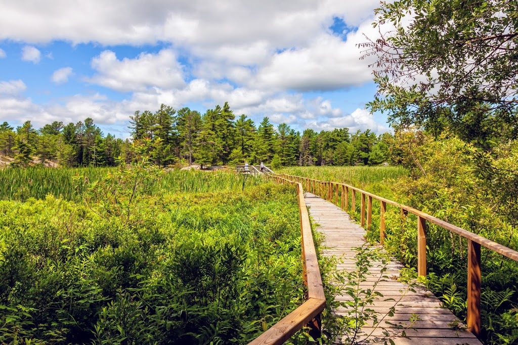 Grundy Lake Provincial Park | ON-522, Unorganized Centre Parry Sound District, ON P0G, Canada | Phone: (705) 383-2286
