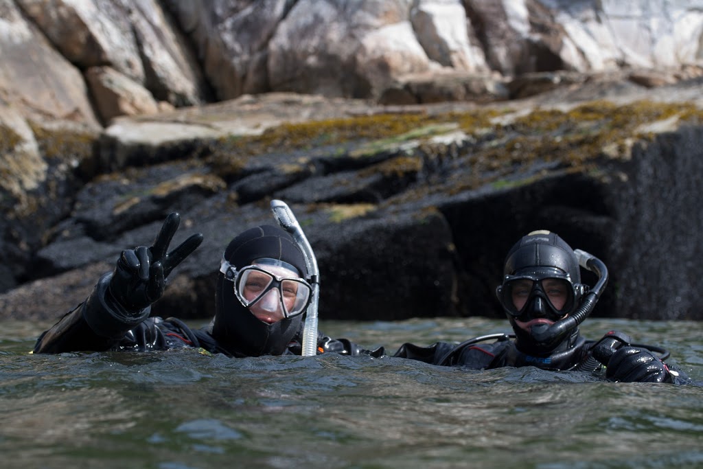 Ocean Pro Divers | 3189 King George Blvd #2, Surrey, BC V4P 1B8, Canada | Phone: (604) 538-5608