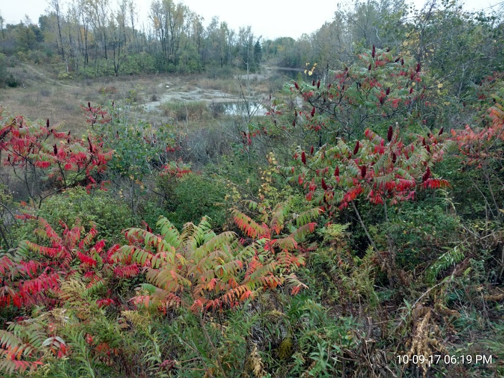 Tillman Road Wildlife Management Area | 9988 Wehrle Dr, Clarence, NY 14031, USA | Phone: (716) 372-0645