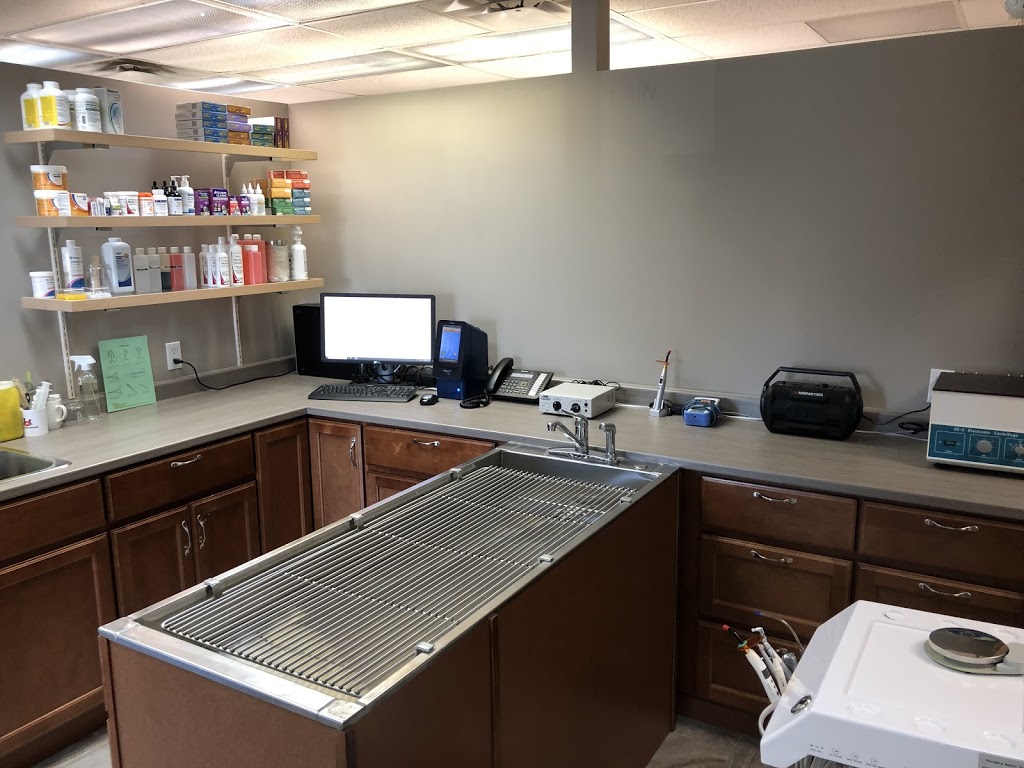 Vet-Champlain Animal Care Inc | 880 Champlain St, Dieppe, NB E1A 1P7, Canada | Phone: (506) 830-6888