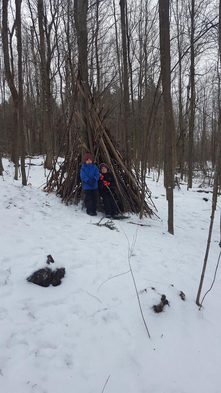 W. E. Burton Conservation Area | 602 Church St, Russell, ON K4R 1C4, Canada