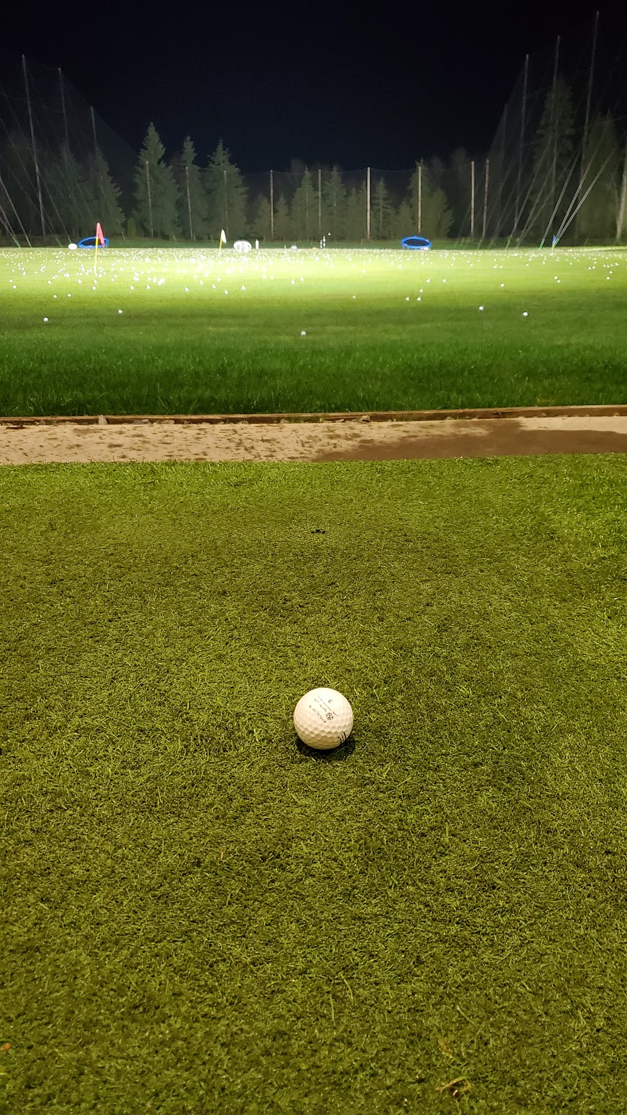 Burnaby Mountain Golf Course & Driving Range | 7600 Halifax St, Burnaby, BC V5A 4M8, Canada | Phone: (604) 280-7355