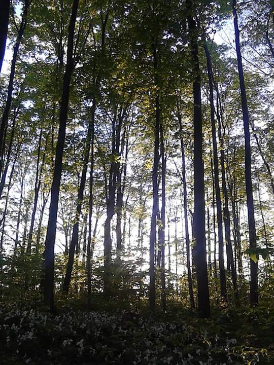 West Ridge Park | 900 W Ridge Blvd, Orillia, ON L3V 7X1, Canada