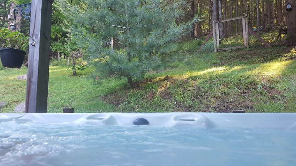 Au Beau Soleil Bed & Breakfast | 1685 Chem. du Village, Mont-Tremblant, QC J8E 1K4, Canada | Phone: (450) 233-2890
