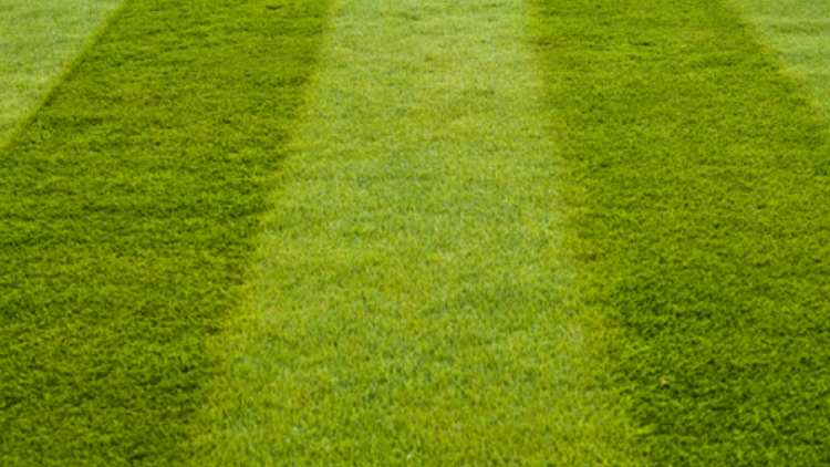 Booms Lawncare | 6485 Brigden Rd, Brights Grove, ON N0N 1C0, Canada | Phone: (519) 331-3706
