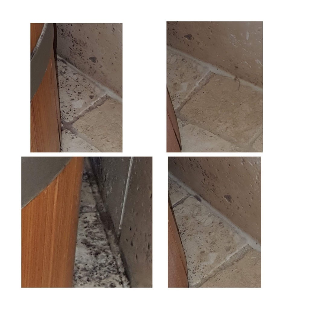 N&V Helping Hands Home Cleaning Services | Mohawk Dr, Guelph, ON N1E 1J1, Canada | Phone: (519) 994-2046