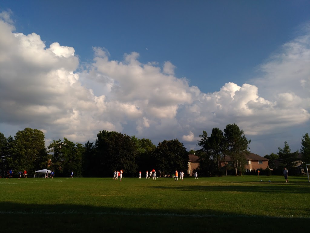 Pine Farm Park | 25 Ashfield Dr, Richmond Hill, ON L4E 2M1, Canada | Phone: (905) 771-8870