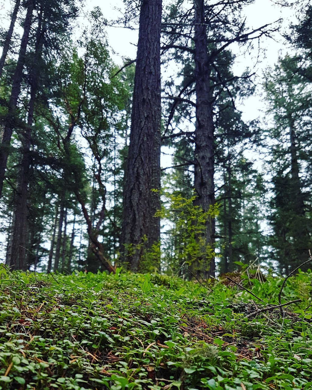 Francis/King Regional Park | Munn Rd, Saanich, BC V9E 1H7, Canada | Phone: (250) 360-3000