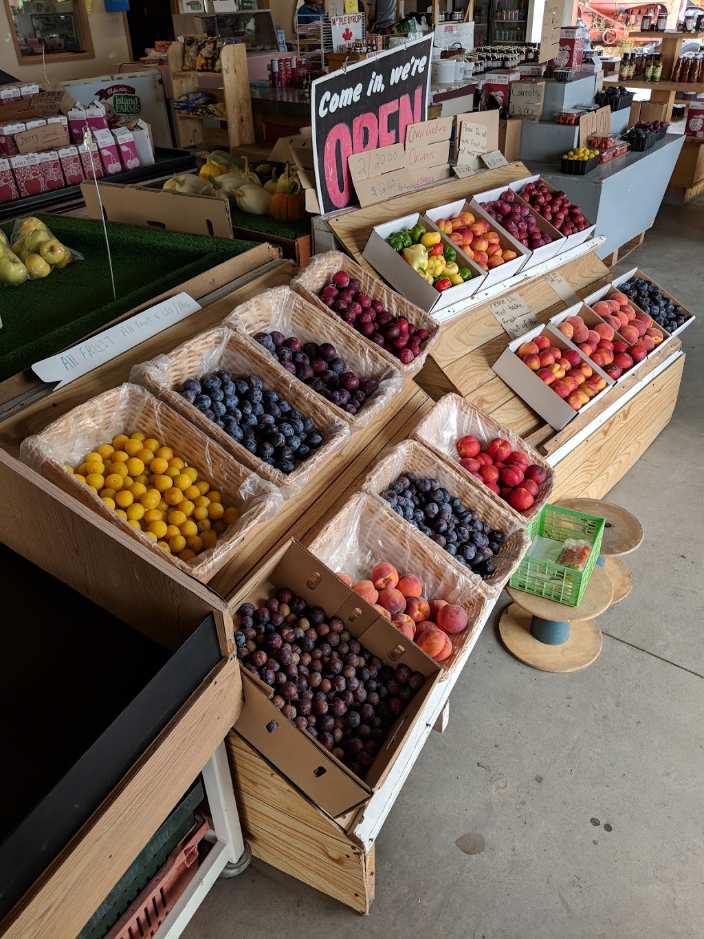 Red Barn Fruit Market | 13818 BC-97, Osoyoos, BC V0H 1V2, Canada | Phone: (250) 498-1488