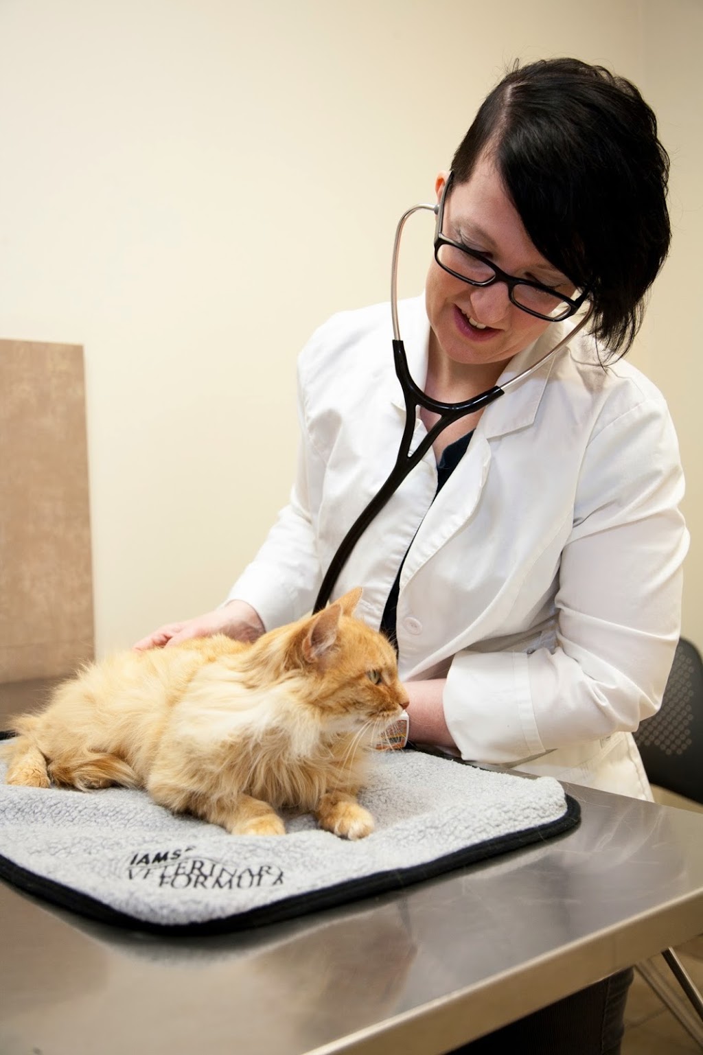 Headon Forest Animal Hospital | 3500 Dundas St, Burlington, ON L7M 4B8, Canada | Phone: (905) 332-4014