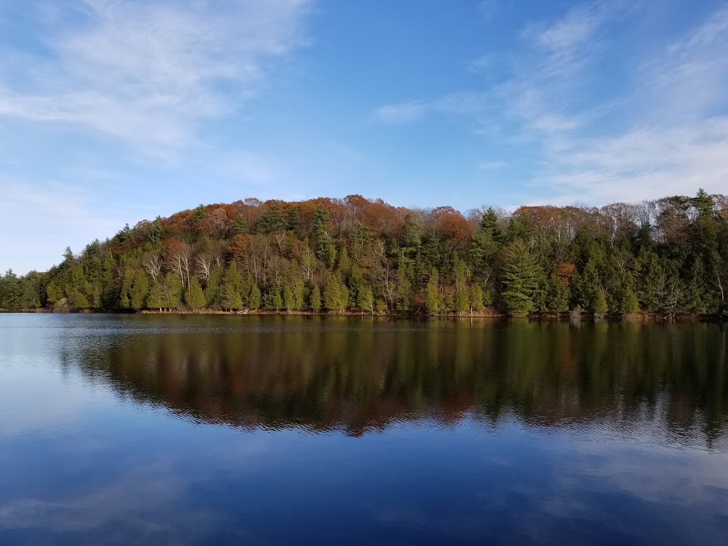 Gould Lake Conservation Area | 1540 Gould Lake Rd, Sydenham, ON K0H 2T0, Canada | Phone: (613) 546-4228
