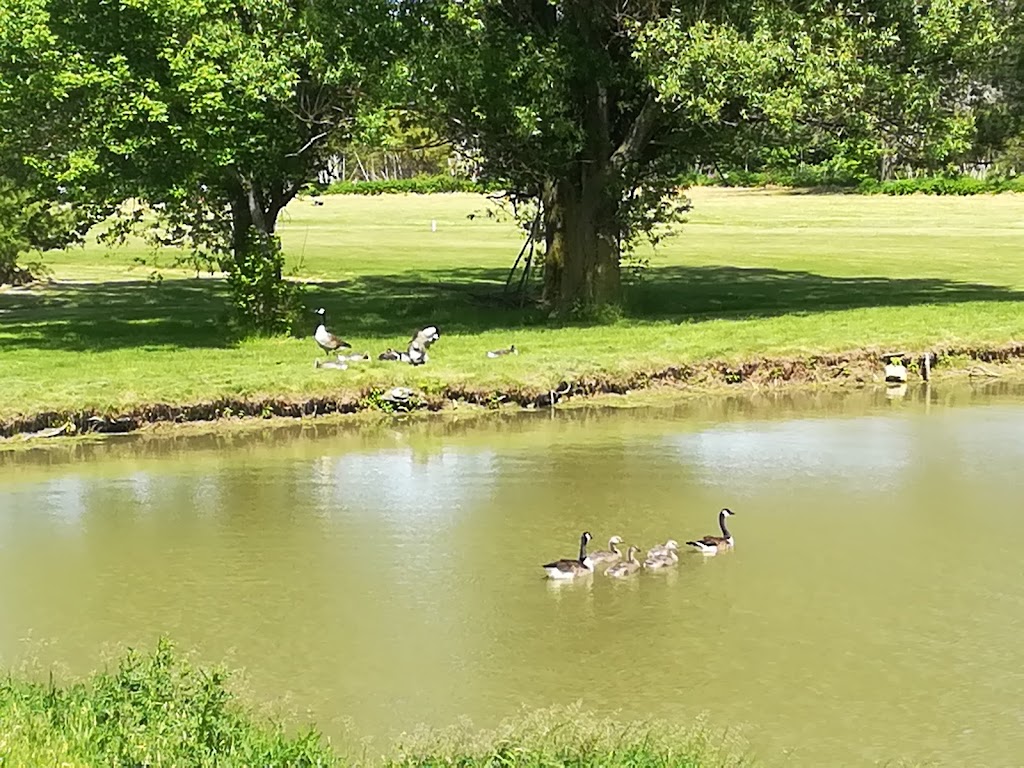 Sandusk Golf Club | 1445 Sandusk Rd, Jarvis, ON N0A 1J0, Canada | Phone: (519) 587-5886