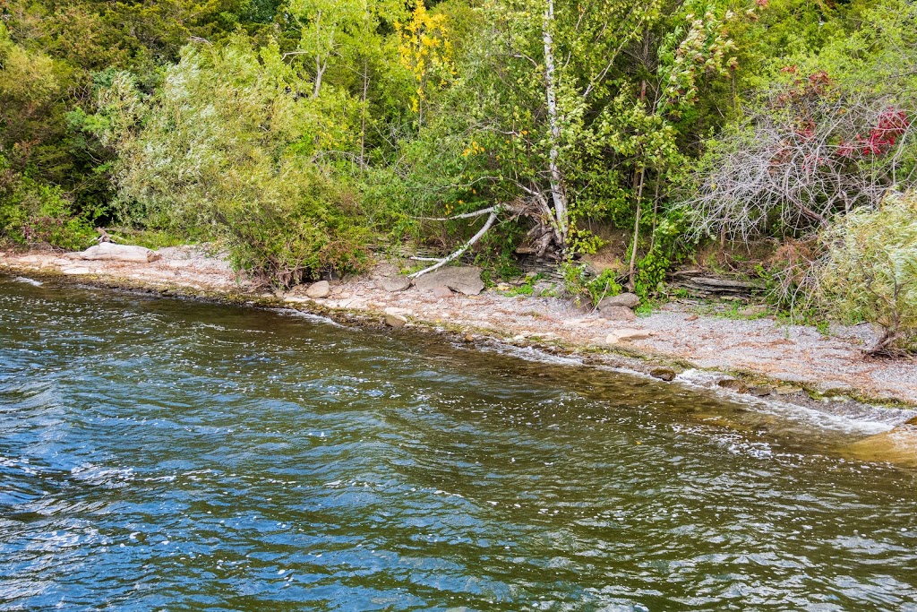 H. J. McFarland Conservation Area | MacFarland Park Ln, Prince Edward, ON K0K, Canada | Phone: (613) 968-3434