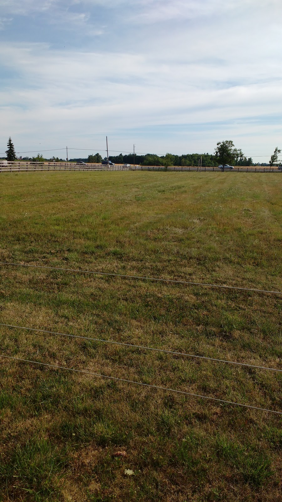 CALEDON Land | 14126 Hurontario St, Inglewood, ON L7C 2E1, Canada | Phone: (800) 393-1023