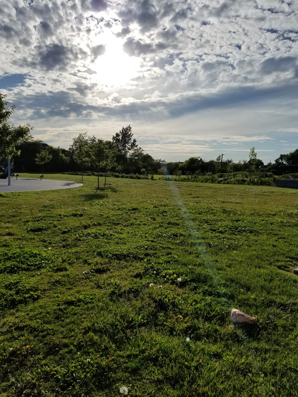 Anthony Road School Park | 111A Anthony Rd, Toronto, ON M3K, Canada | Phone: (416) 338-4386