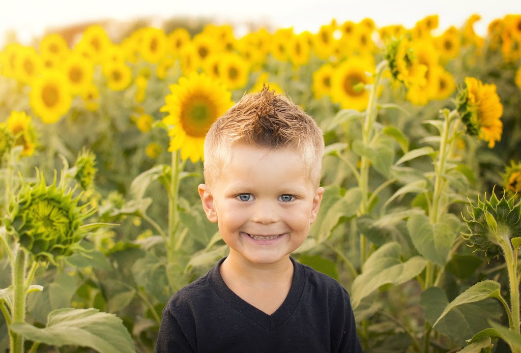 Stoney Creek Montessori | 178 Barton St Unit 4-5, Stoney Creek, ON L8E 4W2, Canada | Phone: (905) 662-2292