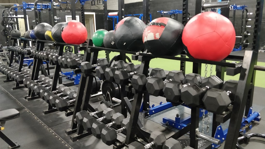 Fitness Battalion | 1110 Kamato Rd #7, Mississauga, ON L4W 2P3, Canada | Phone: (905) 462-4478