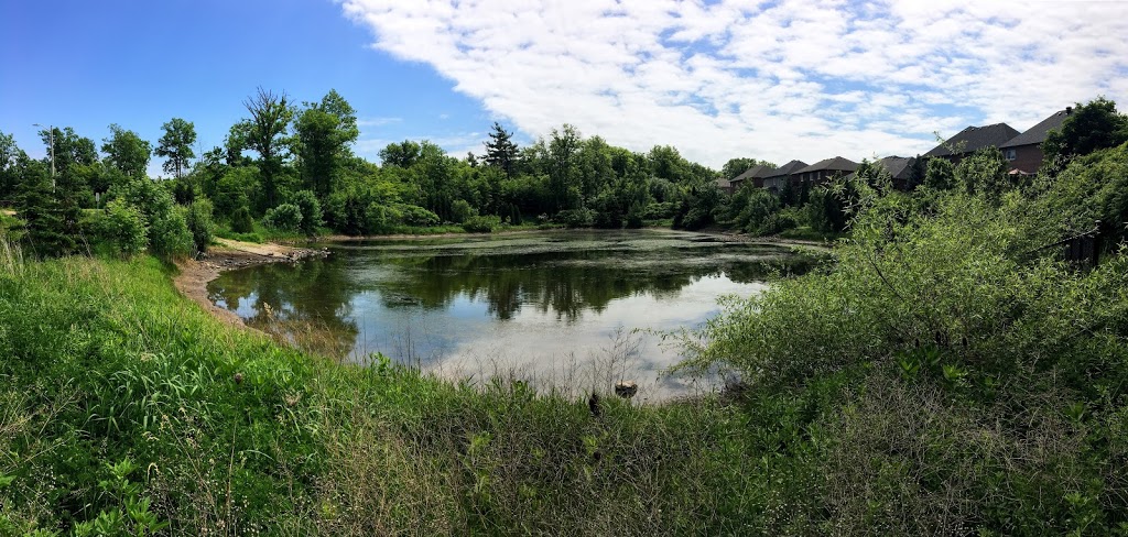 Orchard Woodlot Central | Burlington, ON L7L 6Z1, Canada