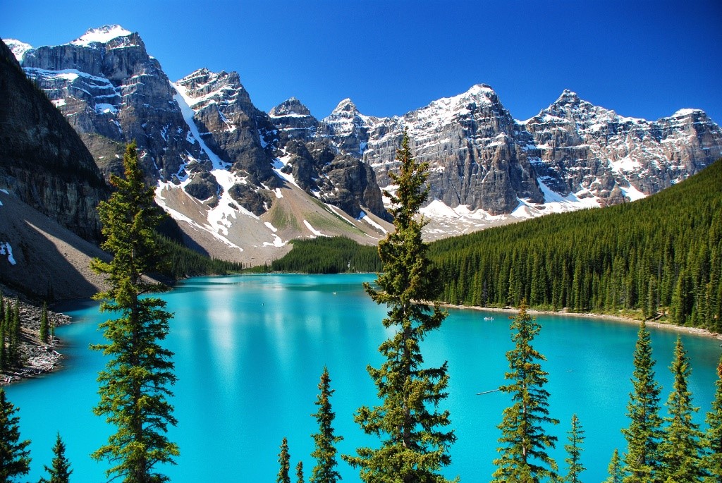 Kasa Consulting | 41 Glamorgan Dr SW, Calgary, AB T3E 4Z1, Canada | Phone: (403) 801-8624